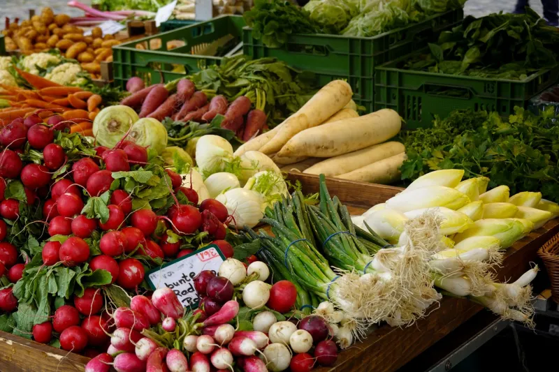 The Vegetable Nobody Wanted — Until It Was Almost Gone: Ataşehir's Quiet Fight to Save Teltow Turnip's Turkish Cousin